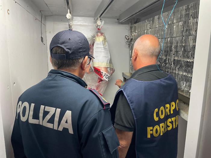 Blitz a Paternò: multe e sequestri in una macelleria islamica per carenze igienico‑sanitarie e carne senza etichetta