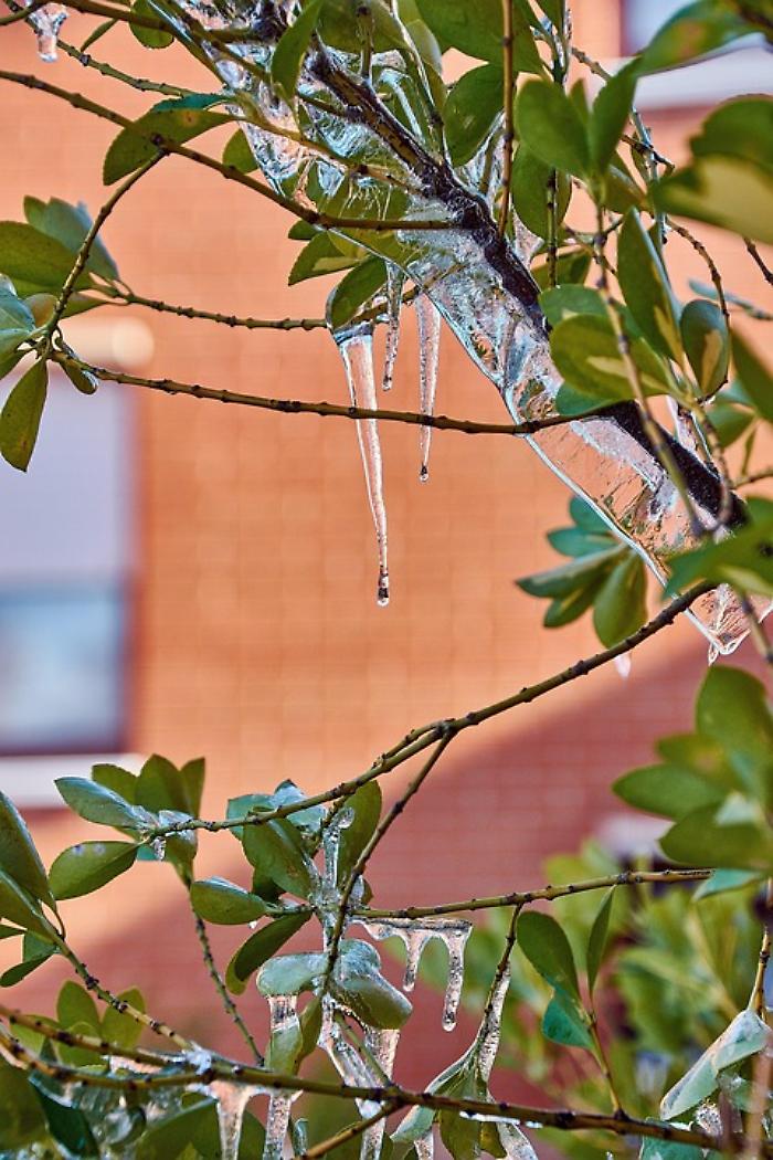 Arriva il freddo dalla Groenlandia: neve al nord e allerta arancione in parte della Sicilia