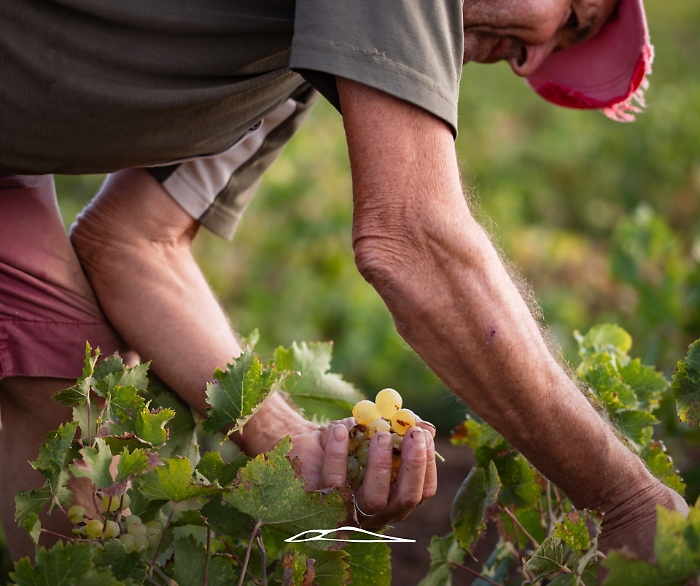 Da Pantelleria alle Colline del Prosecco pi&ugrave; turisti e pi&ugrave; occupazione nei siti Unesco 