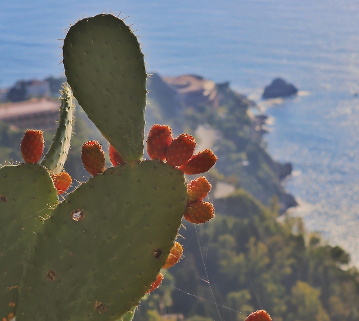 Taormina: poesia tra l'Etna innevato e il Santuario della Madonna della Rocca