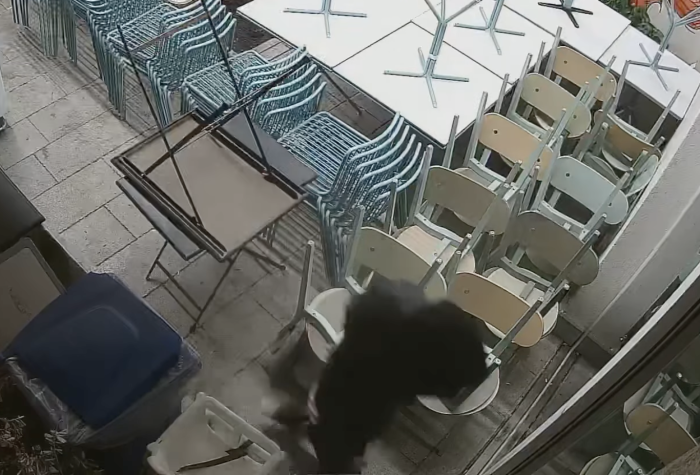 Furto molo Sant'erasmo