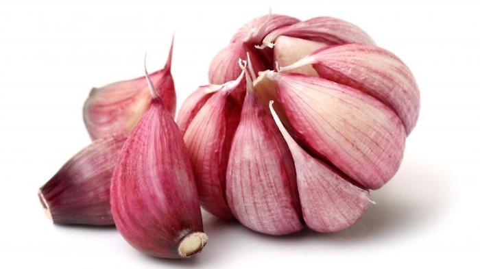 Il maltempo minaccia l&rsquo;aglio rosso di Nubia: produzione a rischio per il 2027