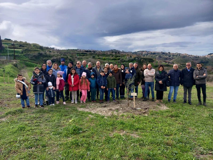 Massa San Giovanni, due anni dopo l&rsquo;incendio piantati 63 nuovi alberi