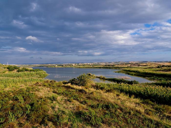 Riserva Biviere di Gela: questa volta si bonifica davvero o sar&agrave; l'ennesimo bluff?