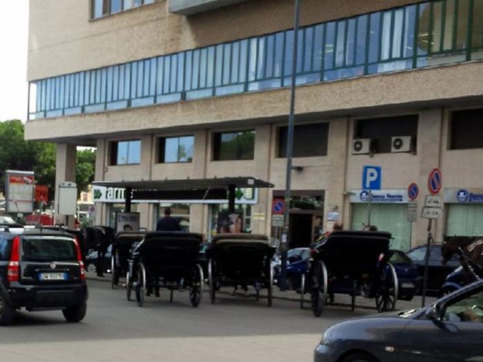 Il Comune ci prova: &laquo;Basta carrozze e mezzi elettrici al posto dei cavalli&raquo;