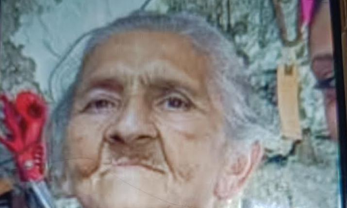 L'anziana scomparsa