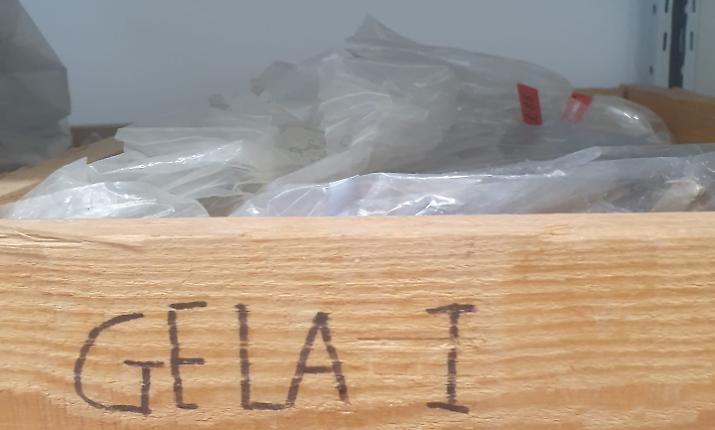 Il ritorno a casa dei reperti: Gela riceve le prime duecento cassette in vista della riapertura del museo